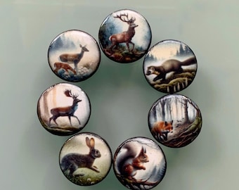 7 buttons “Forest Animals” 22 mm