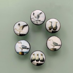 6 knappar “Måsar” 20 mm