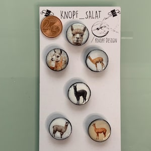 6 Knöpfe „Alpakas“ 20 mm