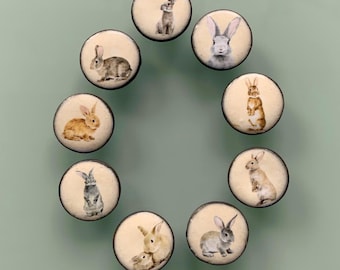 9 buttons “rabbit” 20 mm