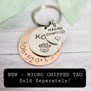 Silver & Gold Personalized Dog Tag/Personalized Pet Tag with Phone Number Custom Pet Tag image 7