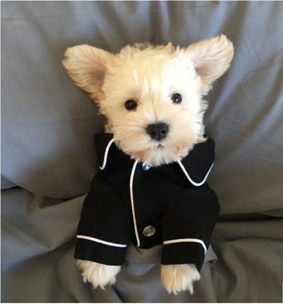 dog silk pajamas