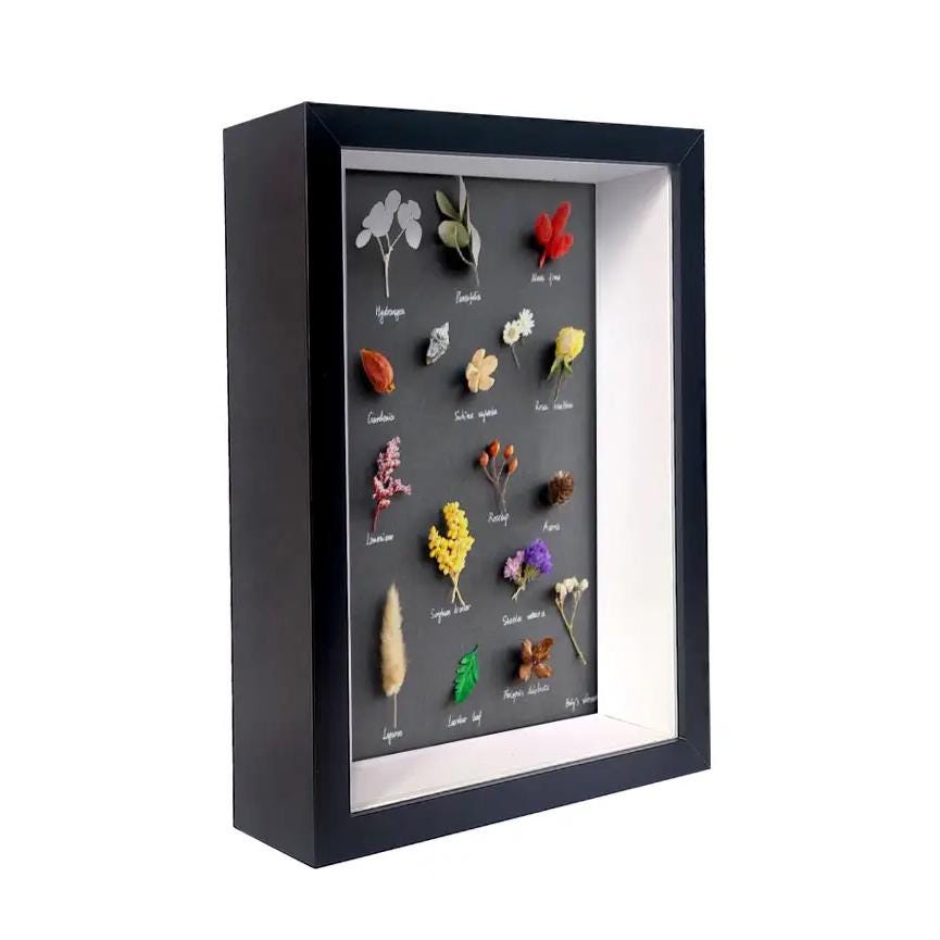 Extra Large Shadow Box Deep Frames 3D Display Wooden Timber Frame With ...