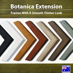 May include: Seven different coloured picture frames with a smooth timber look. The frames are arranged in a row, with the black frame on the left and the grey frame on the right. The frames are all angled to the right, creating a sense of movement. The text "Botanica Extension" and "Frames With A Smooth Timber Look" is at the top of the image. The text "Made in Australia" is at the bottom of the image.