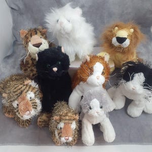 May include: A collection of plush cat and feline toys in various colors and patterns. The toys include a white fluffy cat, a black cat, a tiger, a lion, and other cat-like creatures. The toys are made of soft materials.