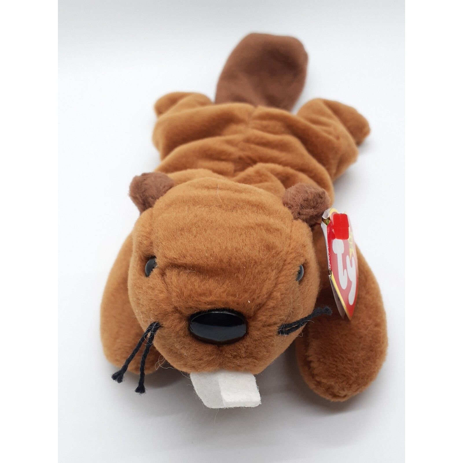 Bucky beanie baby value sale
