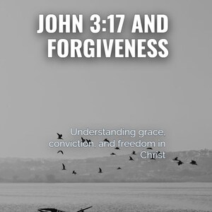 Juan 3:17 Y el perdón imagen 1