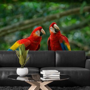 Tropical forest wallpaper with bird,red parrot, Wall Mural, Self Adhesive(Peel and Stick) or Non Self Adhesive (Vinyl/Traditional)
