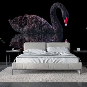 Black Photo Wallpaper, with Black Swan, Animals, wall mural, peel and stick, self adhesive wallpaper, wall decor