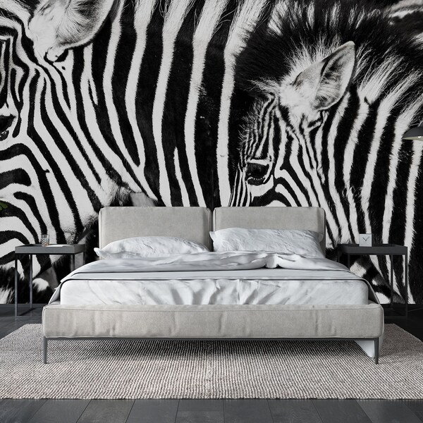 Zebra Wallpaper Etsy