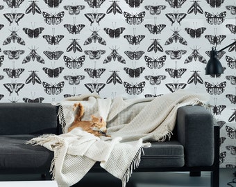Black and White Moth Butterfly Sketch Wallpaper, Peel and Stick Wall Mural (Self Adhesive)