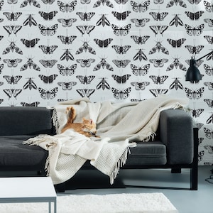 Black and White Wallpaper with Moths and Butterflies Pattern, Sketch Butterflies peel and stick wall mural, self adhesive, wall decor
