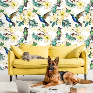 Light yellow watercolor wallpaper with exotic flowers and hummingbird, wall mural, peel and stick, self adhesive wallpaper, wall decor