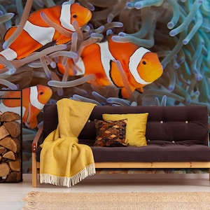 Water wallpaper with Clownfish, Amphiprioninae, fish, wall mural, peel and stick, self adhesive, wall decor, Removable Wallpaper