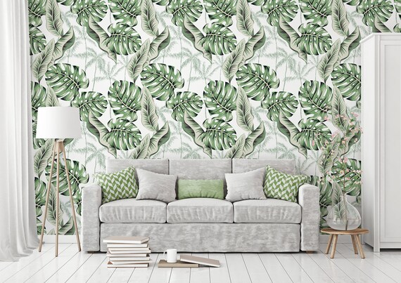 erde monstera mischen Monstera-Erde, Aroid-Erde mix kaufen? ✓ Schnell versandt – Sybotanica main image 0
