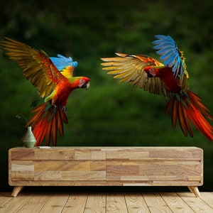 Photo wallpaper, red parrot bird in forest, Self Adhesive (Peel and Stick), Non Self Adhesive (Vinyl/Traditional), Removable, Wall Mural