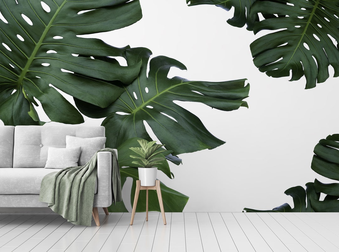 Tropical Monstera Leaves Wallpaper, Peel and Stick Wall Mural, Tropical ...