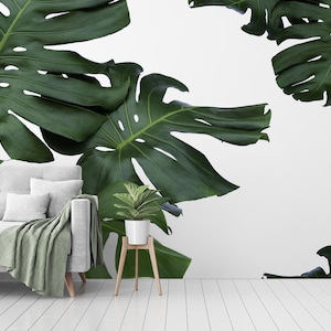 Carta da parati con foglie di monstera tropicali, murale staccabile e attaccabile, decorazione murale tropicale