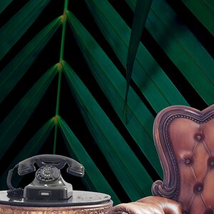 Dark Tropical Palm Leaf Wallpaper, Jungle Wall Mural (peel and Stick ...