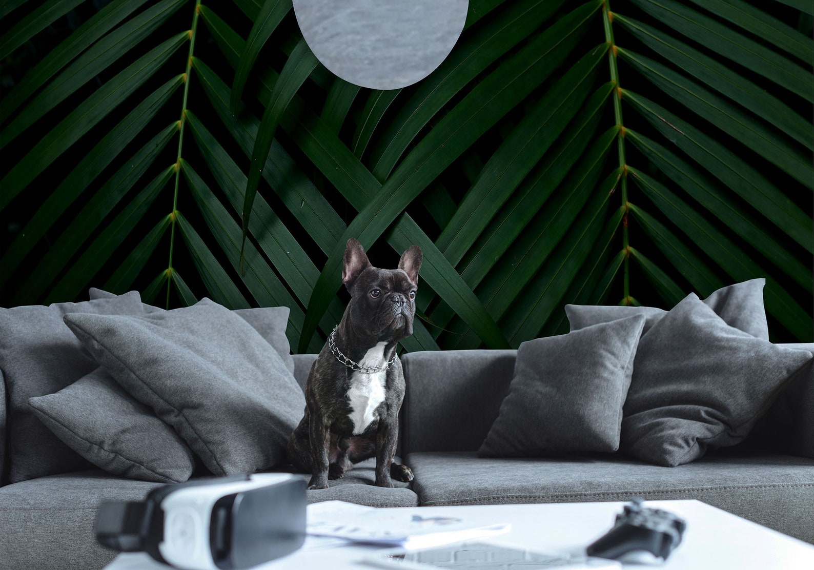 Dark Tropical Palm Leaf Wallpaper, Jungle Wall Mural (peel and Stick ...