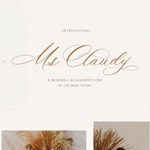 Puede incluir: Se muestra una fuente de caligrafía llamada "Ms. Claudy" en color marrón. La fuente se utiliza en los nombres "Olivia", "Sophia", "Odelia", "Abigail" y "Terosa". Los nombres están escritos sobre un fondo marrón con una superficie texturizada. La imagen también muestra un ramo de flores secas y una mujer con un vestido blanco.