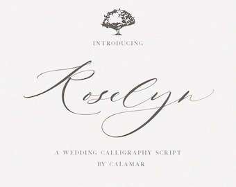 Script Font, Calligraphy Wedding Font, Elegant Cursive Font for Procreate, Canva, Cricut Font