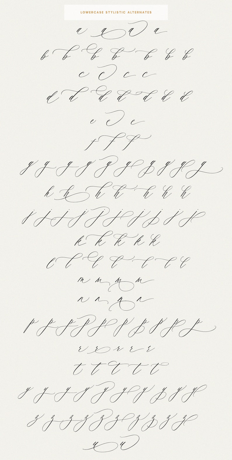 May include: A graphic showing lowercase letter variations in a cursive script font. The letters are written in black ink on a white background.