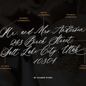 May include: A white calligraphy font style guide with different stylistic alternates for the letters "M", "R", "D", "S", and "H". The guide shows the text "Mr. and Mrs. Anderson 243 Birch Street Salt Lake City, Utah 10304" with the different alternates highlighted.