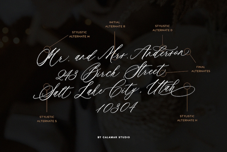 May include: A white calligraphy font style guide with different stylistic alternates for the letters "M", "R", "D", "S", and "H". The guide shows the text "Mr. and Mrs. Anderson 243 Birch Street Salt Lake City, Utah 10304" with the different alternates highlighted.