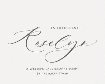 Wedding Font, Calligraphy Script Font, Elegant Cursive Font for Canva, Cricut Font