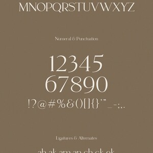 K&ouml;nnte beinhalten: Ein Schriftdesign mit Gro&szlig;- und Kleinbuchstaben, Zahlen und Satzzeichen. Die Schriftart ist eine Serifenschrift mit einem klassischen Stil. Das Bild zeigt auch Ligaturen und Alternativen f&uuml;r bestimmte Buchstaben.