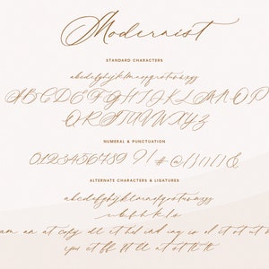 Wedding Font, Calligraphy Script Font, Handwritten font for Wedding invitations Modernist image 10