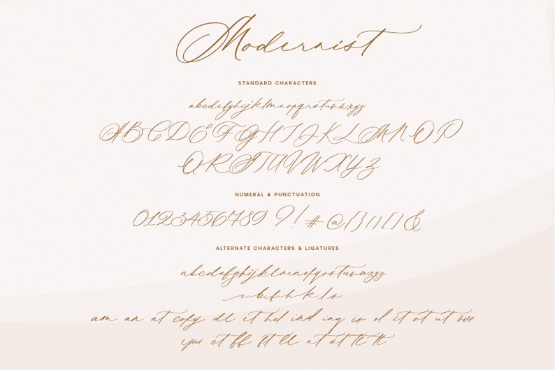 Wedding Font, Calligraphy Script Font, Handwritten font for Wedding invitations Modernist image 10