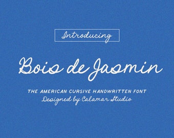Handwritten Font, Calligraphy Font Bundle, Script Font, Cursive Handwriting Font
