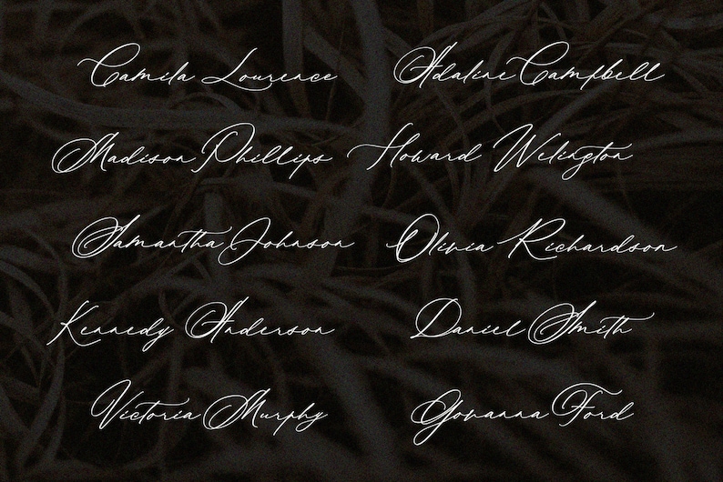 Wedding Font, Calligraphy Script Font, Handwritten font for Wedding invitations Modernist image 9