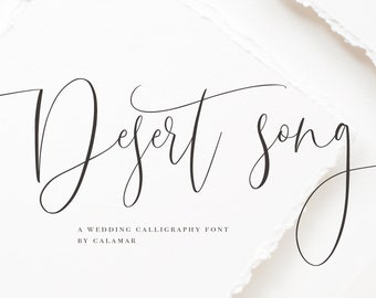Wedding Font, Calligraphy Script Font, Elegant Cursive Font for Cricut, Font with long tails