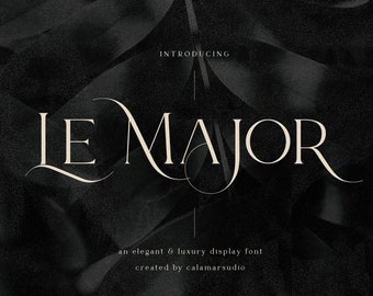 Le Major Serif Font: Elegant Display Font for Logo & Wedding (OTF, TTF)