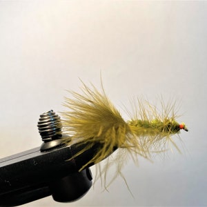 Könnte beinhalten: Ein grüner und orangefarbener Fliegenfischköder mit einem langen, gefiederten Körper.