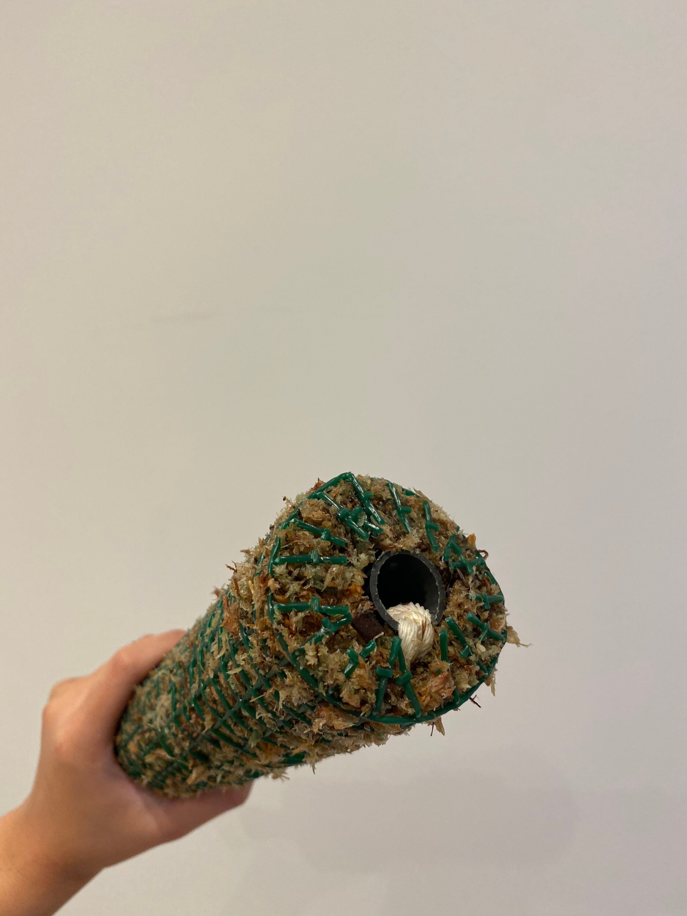 Self Watering Moss Pole 1/2 Metre / 50cm Tall Etsy UK