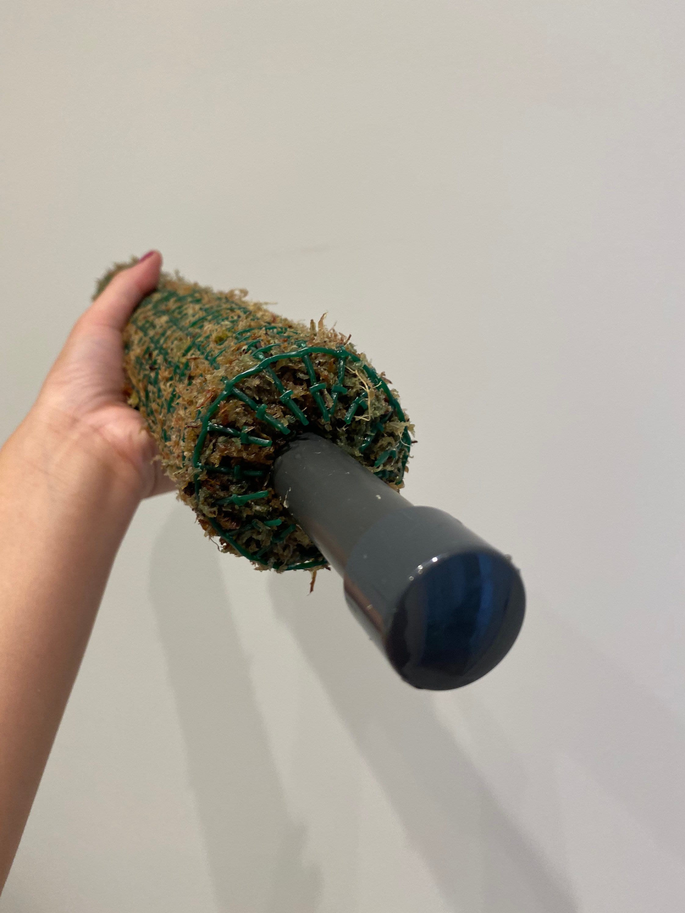 Self Watering Moss Pole 1/2 Metre / 50cm Tall Etsy UK