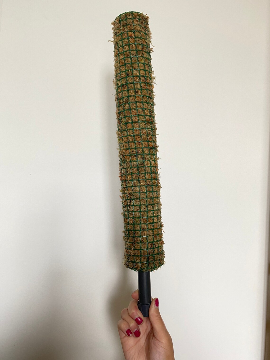 Self Watering Moss Pole 1/2 Metre / 50cm Tall Etsy UK