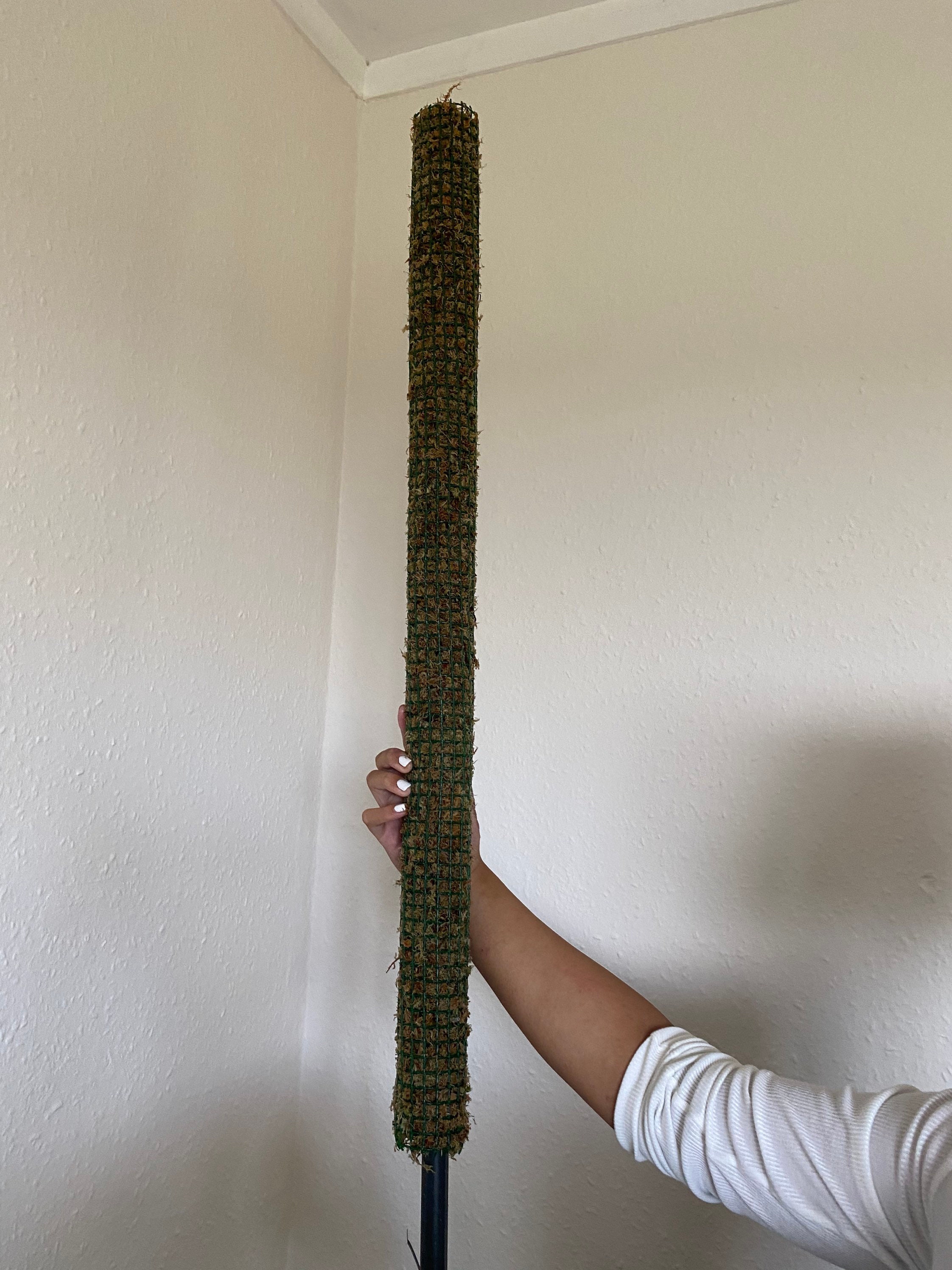 Self Watering Moss Pole 1 metre / 100cm tall Etsy