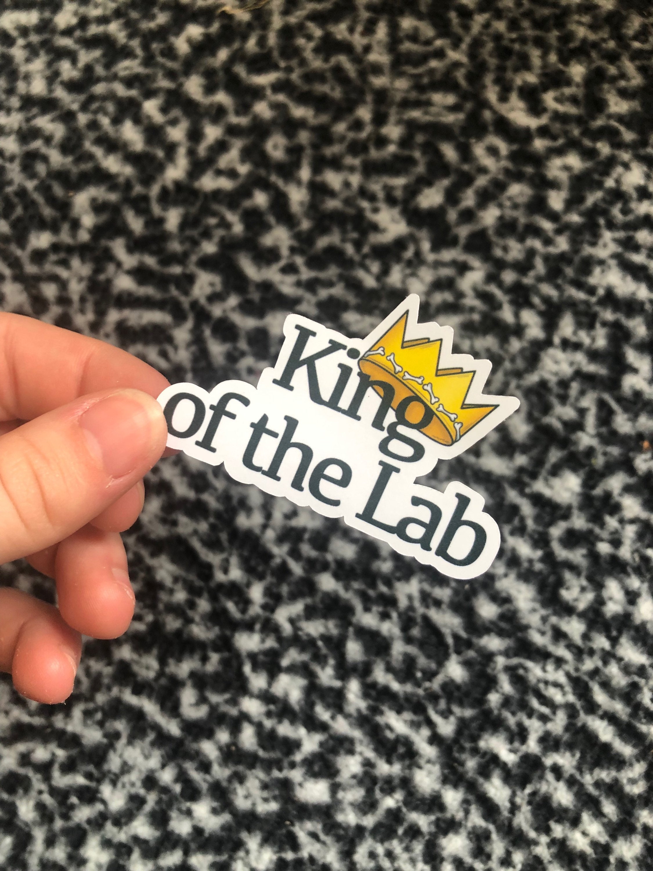 Buy Bones 'king of the Lab' Sticker Online in India