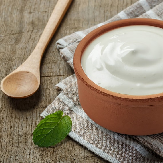 Clay Yogurt Pots Glazed Terracotta Cookware Earthen Etsy