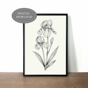 May include: Black and white line drawing of an iris flower with three blooms and leaves.