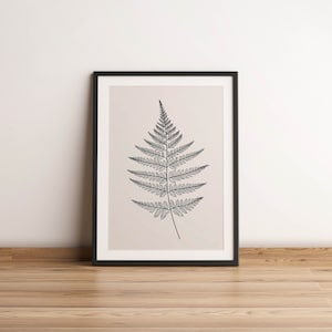 Può includere: Stampa in bianco e nero di una foglia di felce in linea d'arte in una cornice nera. La stampa è su uno sfondo beige chiaro.