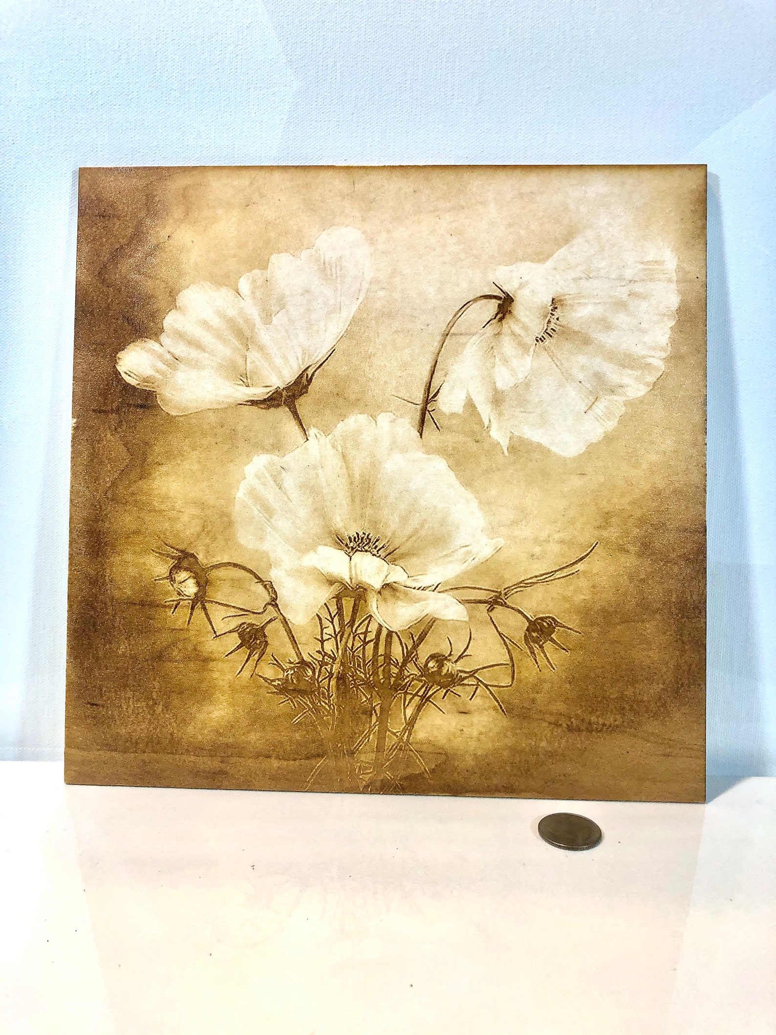 Etched in Beauty Etsy