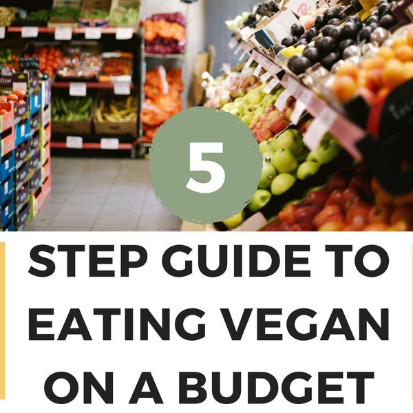 A quick and easy guide for beginners, transitioning and non vegans! Ebook Cookbook Vegan Guide with Recipes