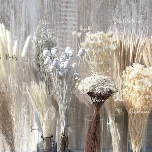 White dried flowers dried flowers bright colors Pampas Ruskus Glixia Nigella fern oat reed bulb decoration spring wedding gift DIY