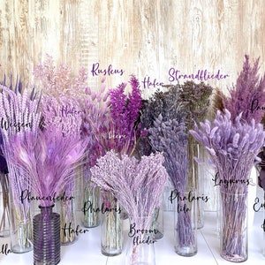 Purple dried flowers dried flowers in lilac purple Ruskus Lagurus Pampas Broom Oats Wheat Phalaris Eucalyptus Decoration Wedding Summer